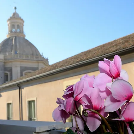Casa Provenza 3* Katánie